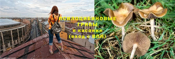 трава Кодинск