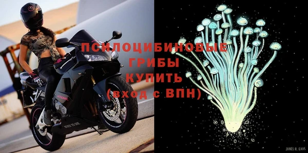 трава Кодинск