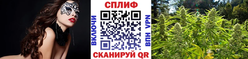 Бошки марихуана конопля  где можно купить   Ногинск 